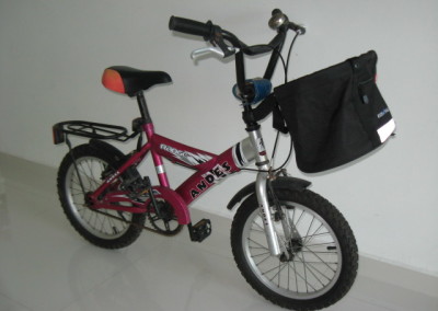 andes shopper mini 2