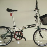 dahon alingo 1a